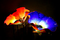 Dale Chihuly Glass Exhibition, 2008